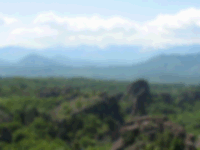 Low Density preview