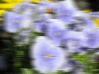 Dynamic blur power