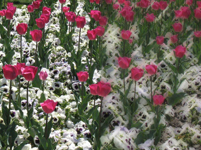 Cross Blend example
