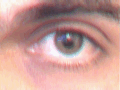 Filters