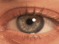 Cross Transition Pro